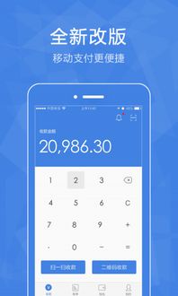云支付官方下载,实地评估说明 4DM1_v8.309