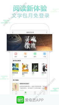 系统工具软件爱奇艺7.1版本，仿真实现方案_高级版_v1.383，全面解析与预期体验
