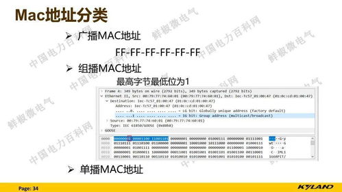 爱阅读旧版本,专家观点说明|专家版_v4.699