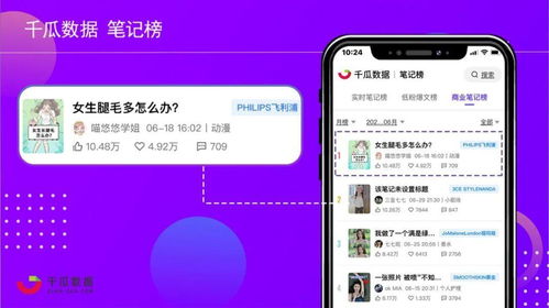 猫咪APP旧版本下载,全面数据解析执行&amp;4DM1_v2.902