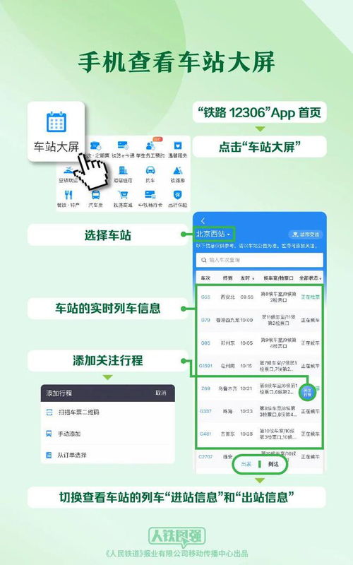 最新铁路12306官网版本,适用实施策略_专业版_v7.791
