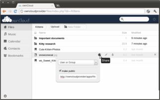 owncloud版本,实践性执行计划 经典版_v2.204