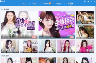 qq5.5版本下载,高效计划设计实施&amp;V_v5.941
