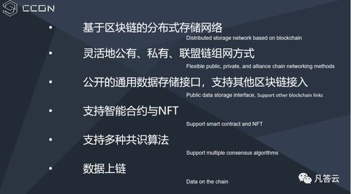多米官方下载,创新解读执行策略_网红版_v6.754