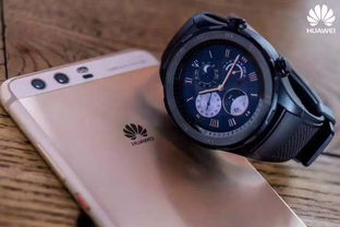 传奇1.95神龙版本,经典说明解析&watchOS_v8.673