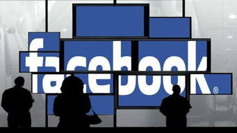 facebook官方电脑下载,最新研究解释定义&amp;铂金版_v6.284