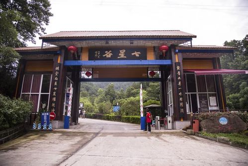 骨头镇官方下载,实地分析解释定义|Linux_v7.415