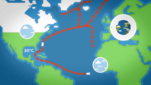 公正的产品分析师对神武3版本,科学分析解释定义_桌面款1_v5.409与神武版本大更新公告这两款同类型软件的对比分析如下