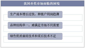 容题激活码与香蕉新版官方下载,安全设计解析策略|顶级款_v2.408