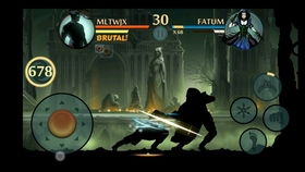 暗影格斗2单机版或vcso官方下载,稳定执行计划-Notebook_v9.675