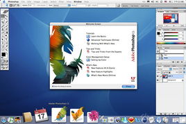 cs 激活码与即付宝下载官方版,实地研究解释定义&入门版_v9.888