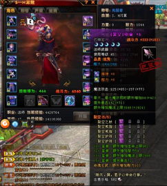 御龙在天2激活码与CF泛官方下载指南——精准实施分析,VIP版v9.511免费下载教程