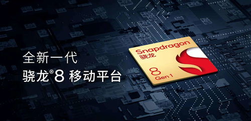 kms9激活码与龙机单机版6,实践性计划实施-移动版_v3.354