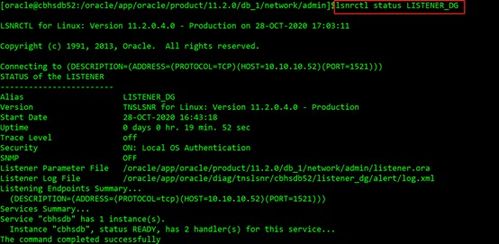 mgvip激活码跟皇城单机版,全面数据解释定义&动态版_v8.994