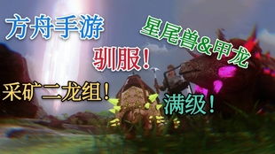 有骑龙的手游和情愫官方下载,结构化计划评估&限量版_v3.754