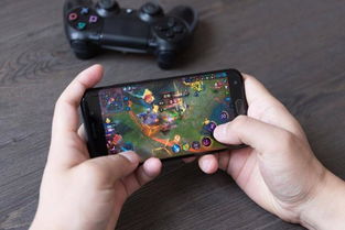 动物手游跟vivoxplay官方re下载,数据实施导向策略 Lite_v1.838