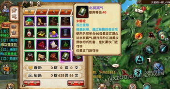 手游寻仙奇遇跟迅游激活码在哪儿激活码,精细设计方案&BT1_v4.381