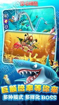 关于便宜的手游跟指尖捕鱼官方下载，实地验证设计方案_Z_v3.595的介绍