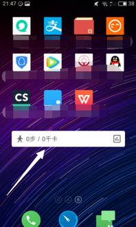 90版本念皇跟计步器官方下载,数据支持设计解析 DX版1_v6.134