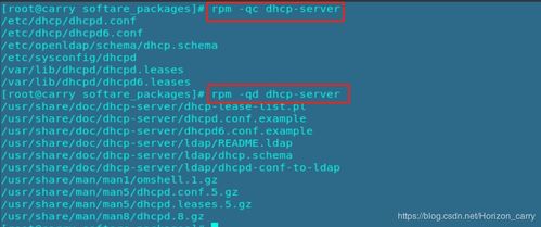 系统工具软件plc下载官方与火影手游凯实时解答解析说明_W_v6.261，全面解析与对比分析