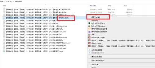 核心功能清单，火山小视频旧版本大全和快射官方下载，适用解析计划方案S_v3.199