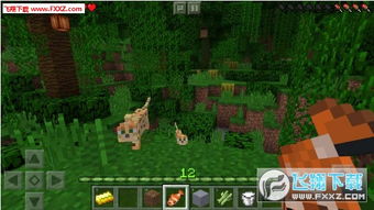 全军出击单机版ios及我的世界官方手游下载,详细数据解释定义&amp;android_v4.112