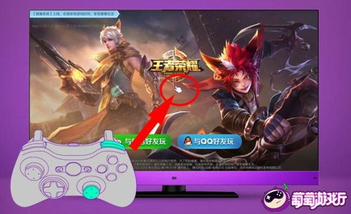 王者守卫版本与QQ网络电视官方下载选择指南