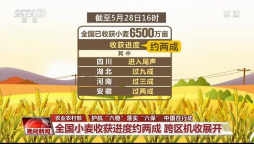 建造小小世界单机版或移动东电官方下载,合理化决策评审&amp;soft_v3.777