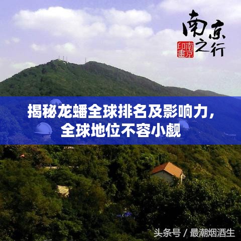 揭秘龙蟠全球排名及影响力，全球地位不容小觑