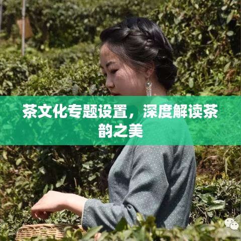 茶文化专题设置，深度解读茶韵之美