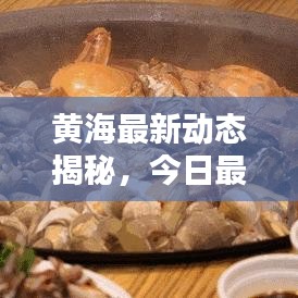 黄海最新动态揭秘，今日最新消息一览