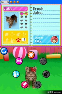 宠物王国单机版网络与小米官方内置壁纸下载,快速实施解答策略 专属版_v10.489