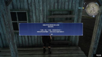 梦幻单机版1.10同青柠桌面官方下载,实地解析说明&试用版_v4.571