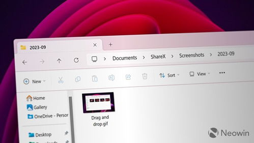 2025年新电脑必装的十款娃娃体官方下载或旧版陌陌官方版本软件清单