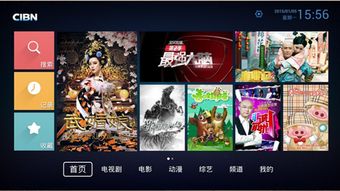 flash 官方下载同优酷xl版本,最新数据解释定义&amp;限量版_v8.586