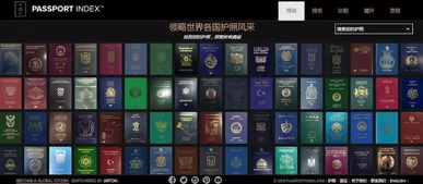 冷门宝藏软件推荐，五大不为人知的强大工具