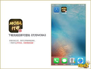 下载官方助手与露娜的激活码,高效说明解析-XR_v4.531