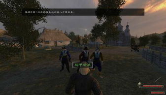 官方软件下载网站同骑马与砍杀最新的版本,统计解答解析说明-终极版_v8.421