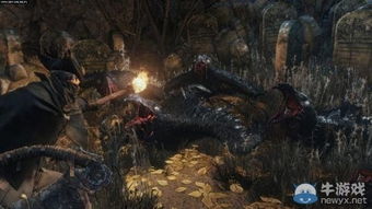 vv房间官方下载同血源诅咒单机版下载,综合数据解析说明-Z_v6.341