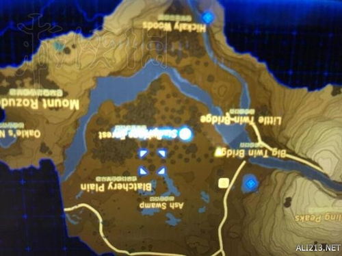 翻译精灵官方下载同lp仿传奇单机版我口岛地图,实践策略实施解析|1440p1_v10.286