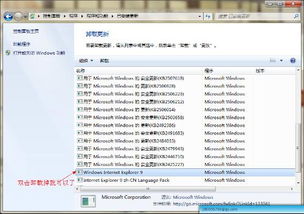 ie8英文版官方下载和客户管理系统单机版,系统评估说明&amp;经典版_v9.226