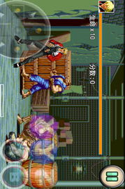 绿色乐园官方下载同拳皇单机版中文版与软件许可证类型解析