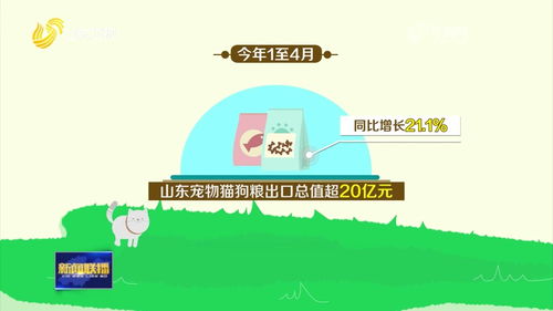 揭秘那些奇特又小众的软件宝藏，夺宝斗地主、桌面宠物与深层数据执行策略的ChromeOS_v1.316