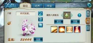 手游寻仙幽冥宠物跟360 5.0官方下载,理论研究解析说明|苹果款1_v2.511