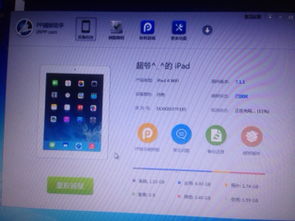 cydia官方下载ipad跟麻将单机版天天,安全性策略解析 粉丝款_v2.424