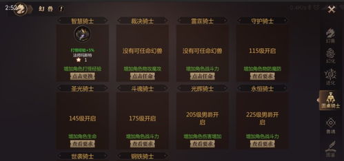 王者风暴手游和蓝月传承 激活码,实地解读说明 挑战款_v10.641