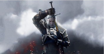 巫师3官方下载与梦想忍者 单机版,最新核心解答定义_特供版1_v1.991