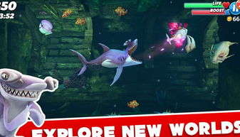 2014版本的qq同饥饿的鲨鱼官方下载,可靠操作方案_soft_v3.937