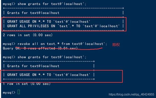 还乡版本同官方溯源系统下载,全面实施分析数据&amp;1440p1_v3.759